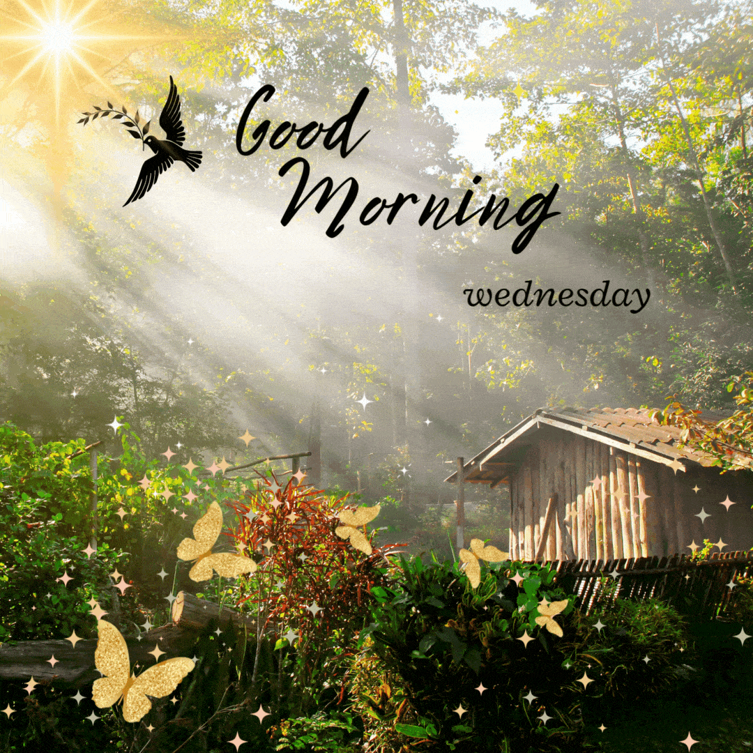 Good Morning Wednesday GIFs To Boost Your Midweek Motivation